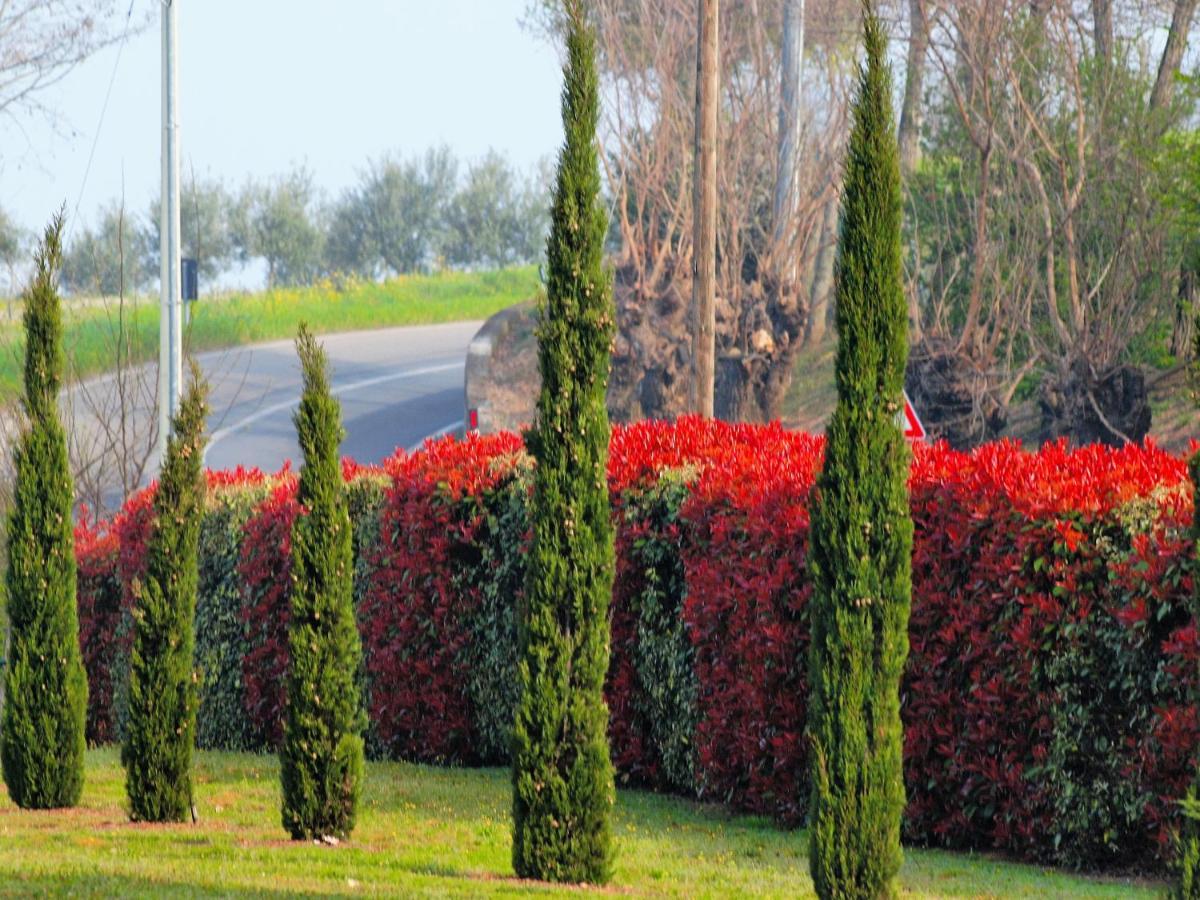 La Colombara - Fra I Colli A 5 Minuti Dall'Autodromo Imola Exterior foto