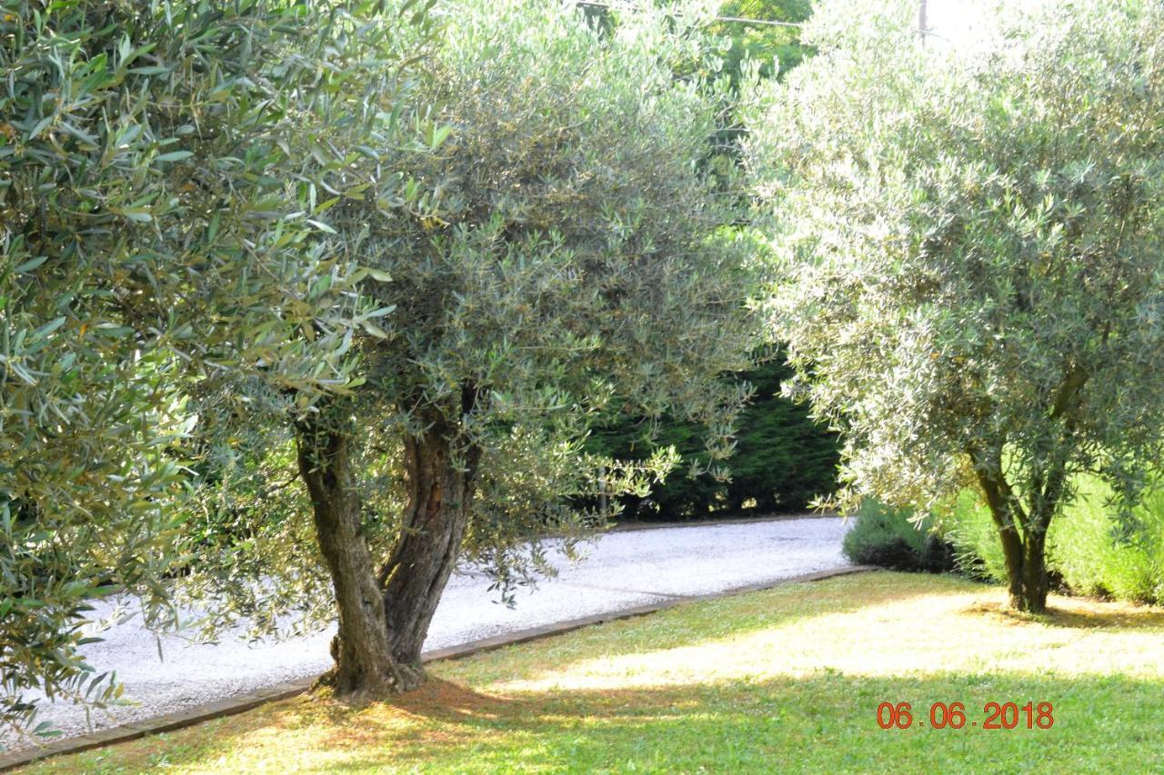 La Colombara - Fra I Colli A 5 Minuti Dall'Autodromo Imola Exterior foto